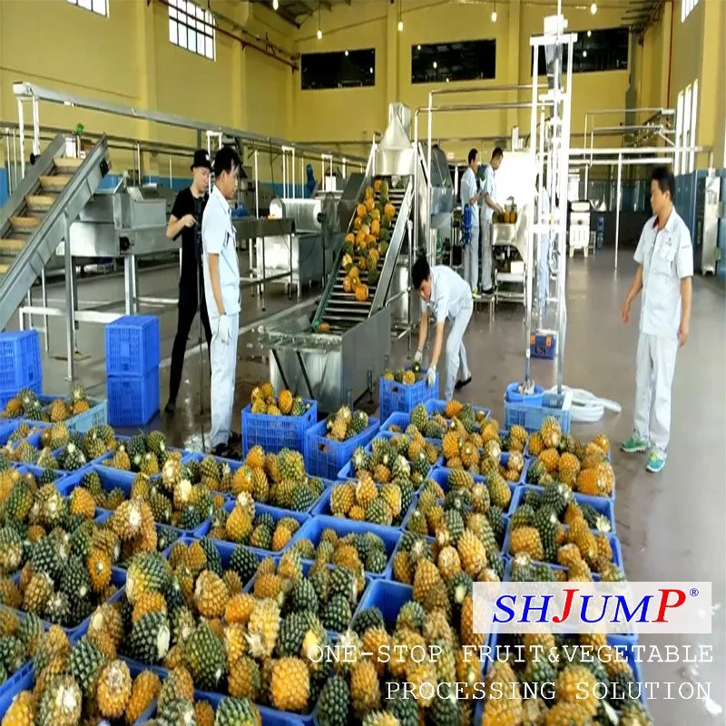 Ananāsu sulas apstrādes līnija