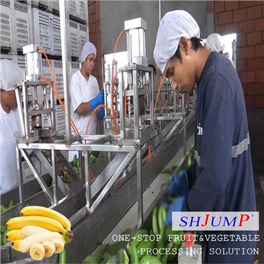 Banānu biezeņa apstrādes līnija