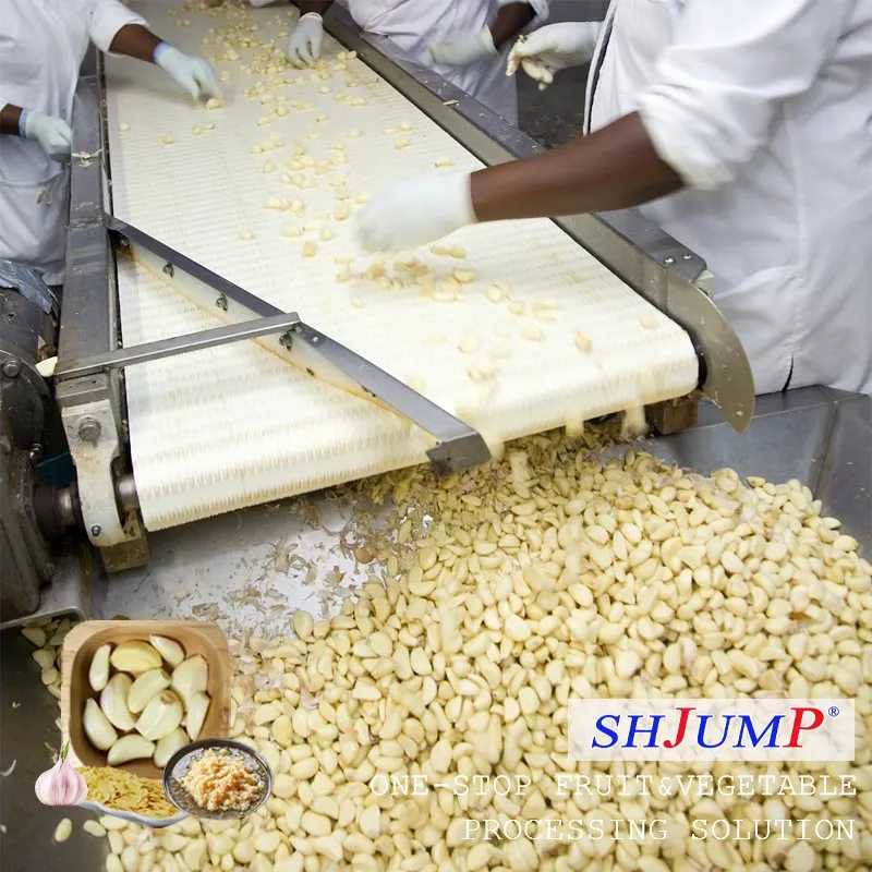 Ķiploku apstrādes līnija