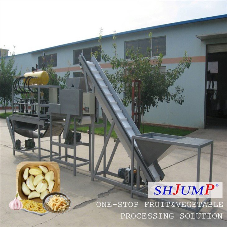 Garlic Processing Line