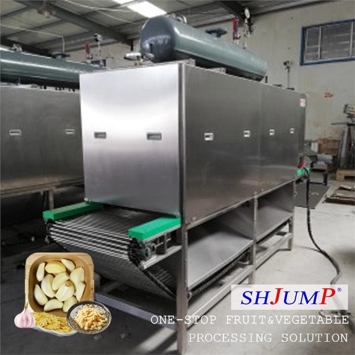 Garlic Processing Line