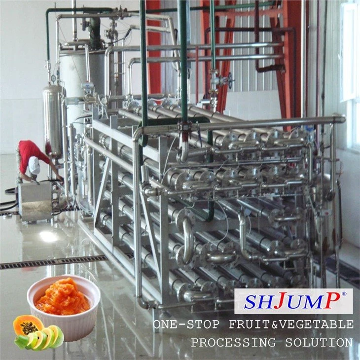 Papaya Puree Processing Line