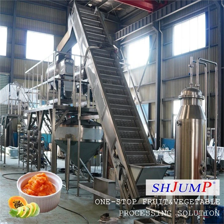 Papaya Puree Processing Line