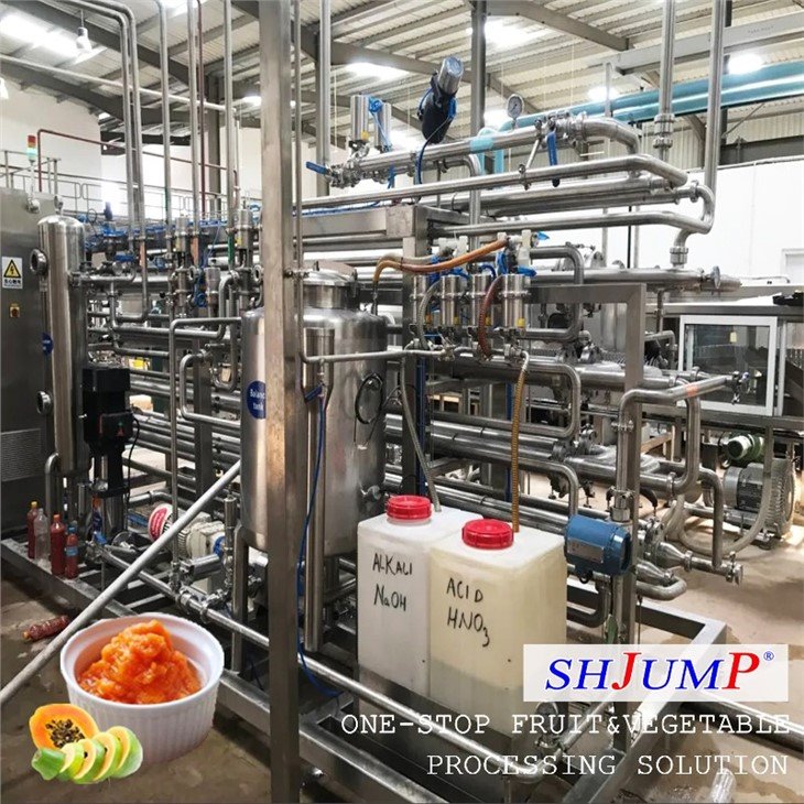 Papaya Puree Processing Line