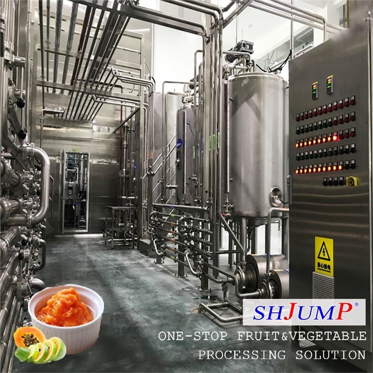 Papaya Puree Processing Line