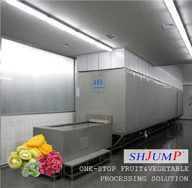 Ātrās saldētu augļu apstrādes līnija