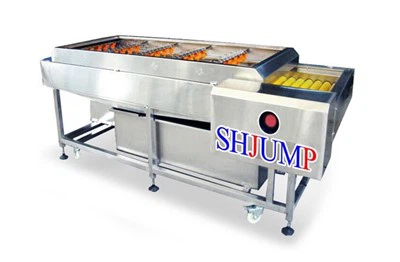 Dārzeņu un augļu tīrīšanas mašīna